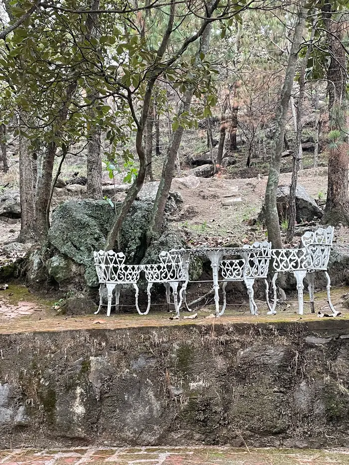 Кованые стулья в лесу у воды